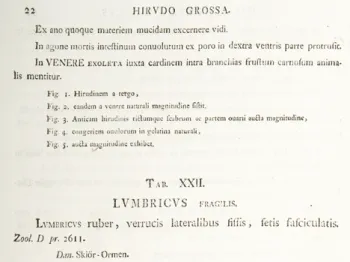 Figure 2. Text page and plate for descriptions of Scoletoma fragilis (= 
