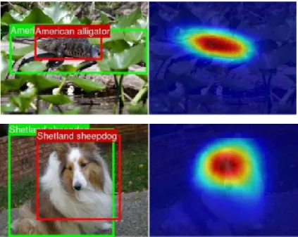 Figure 3.6: A modification of the global average pooling using the class activation mapping (CAM) localisation from GoogleNet-GAP [197].