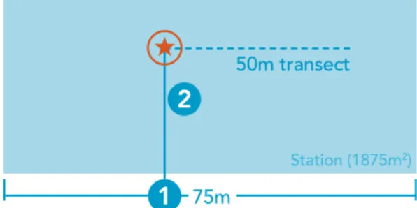 Figure 4. Randomization procedure used to place both   transects and quadrats. (Jessica Gilner)