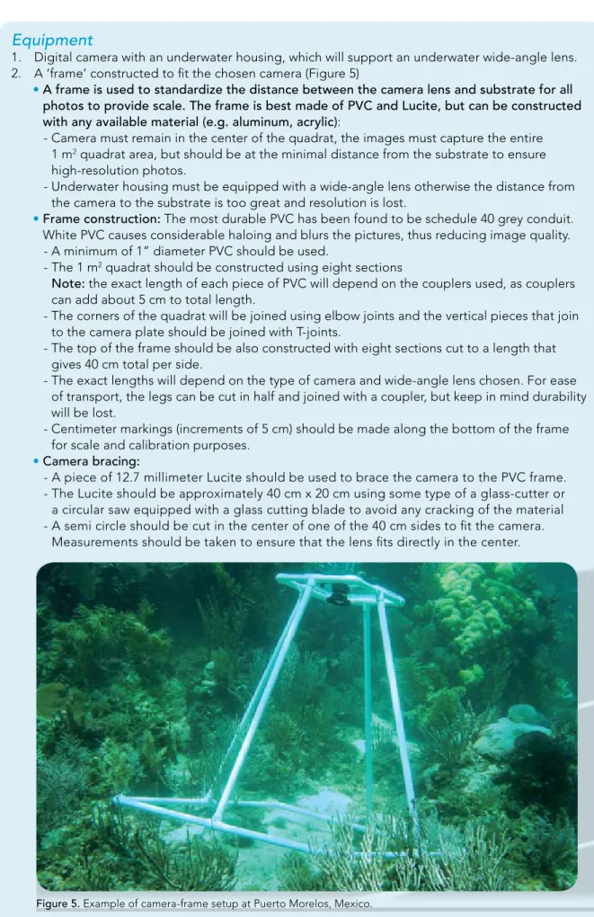 Figure 5. Example of camera-frame setup at Puerto Morelos, Mexico. 