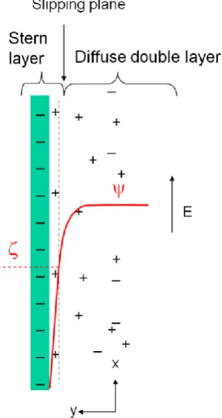 Figure 2.2: As a result of the body force exerted by the axial applied electrical field, the excess ions in the double layer start to move