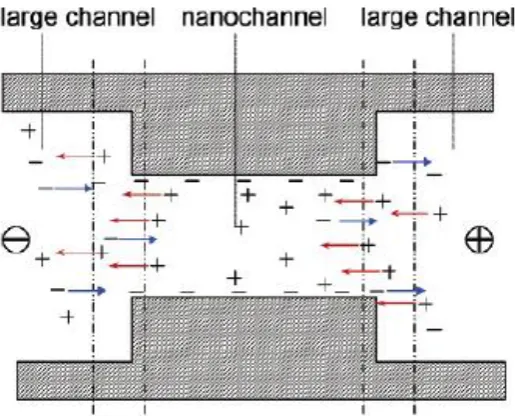 Figure 2.7: Concentration polarisation. A current is sent from right to left. Inside the nanochannels mainly positive ions conduct the current and in the larger channels, the current is transported by equal amounts of positive and negative ions