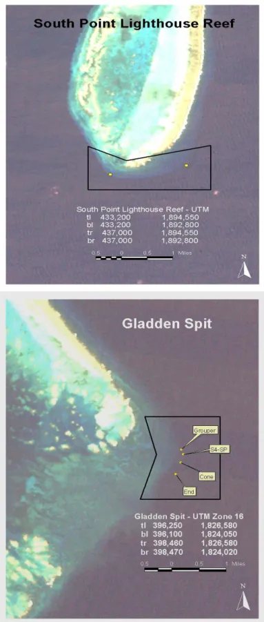 Figure 10  Proposed No-take zone at Southern Point, Lighthouse Reef 