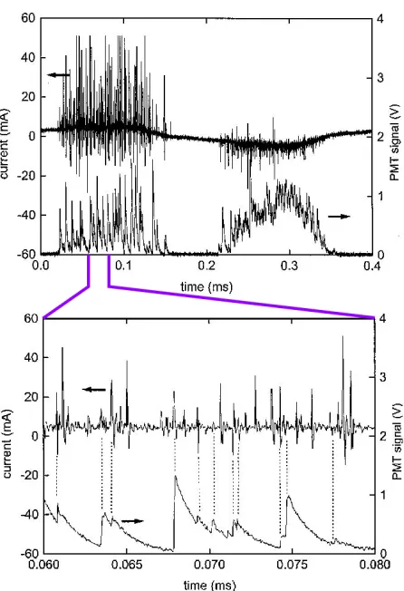 Figure 2.9:Photo of streamer development on a plasmaactuator electrode. From Thomas et al