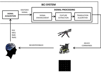 Figure 1: Functional model of a BCI system 
