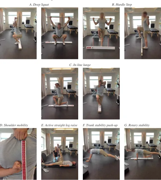 Figure 1 – Functional Movement Screen Tests