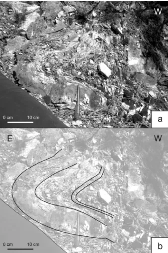 Figure 3:  Small-sized fold of a sandstone layer and thin-bedded  marls in the fold core.______________________________________