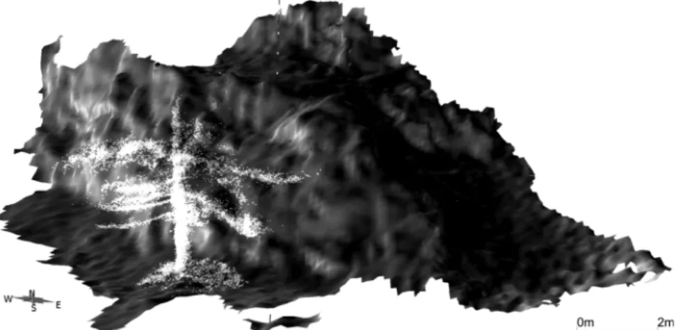 Figure 5:  The complete outcrop surface constructed from several stitched surfaces, including a  point cloud of a tree in the foreground._________________________________________________