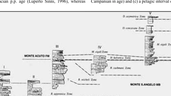 Figure 16 - Stratigraphic sections of the Monte S. Angelo Fm in the northern Gargano  (area between Vico, Rodi and Ischitella) (after Neri and Luciani, 1994).