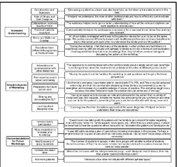 Figure 1. Theme Category 1: Perspectives of IPE Workshop 