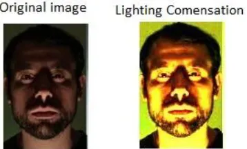 Fig. 1 Original image and YCbCr image 