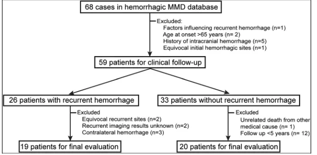 FIG 2. Flowchart of patient recruitment.