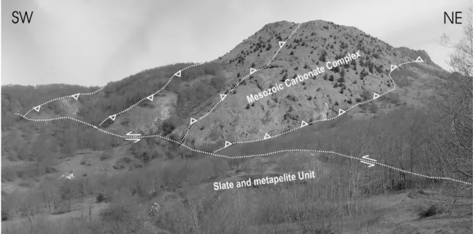 Fig. 10. View of the south-eastern side of the Mt. Cocuzzo secondary push-up.