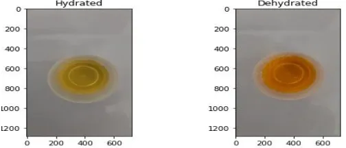 Fig. 1  Targets for classification 