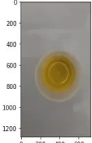 Fig. 7 Comparision of Various Color Transformation  