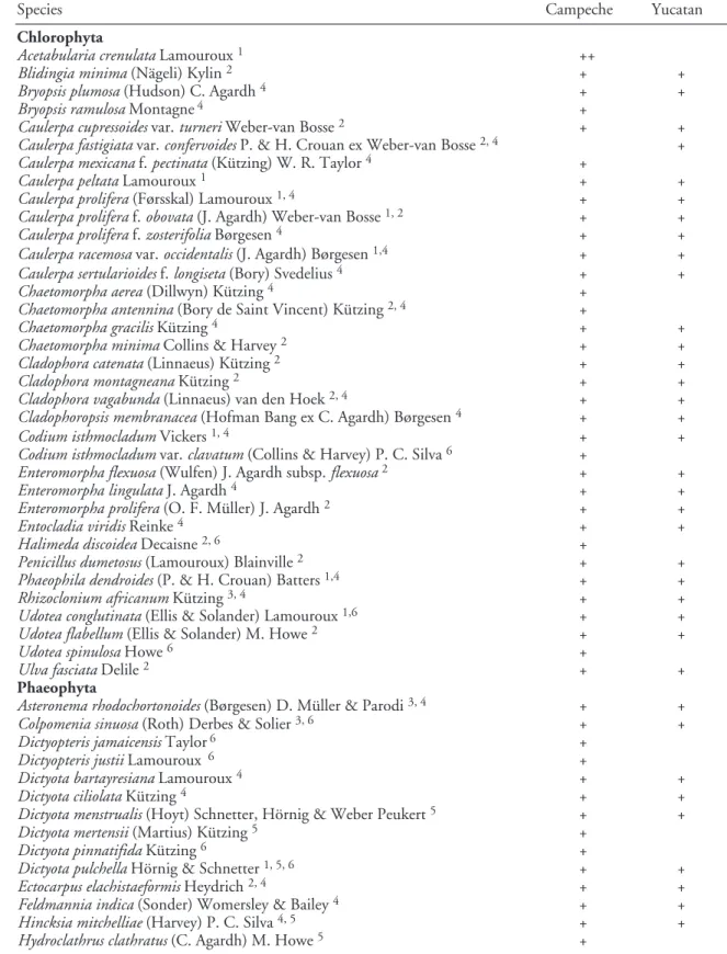 Table 1. List of marine algae recorded for the Campeche Banks, Mexico, from previous and current studies