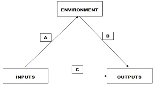 Figure 3. Interconnection of Astin’s I-E-O Core Concepts 