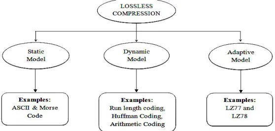 Fig 2: Classification of Lossless Technique 