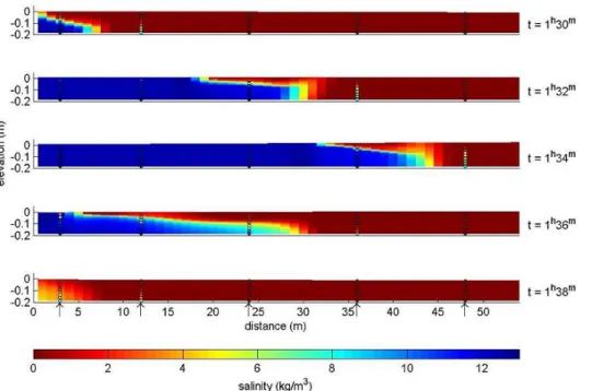 Figure 3.2.1.1: Comparison of observed (measurement laboratory experiment) with simulated salinity in case of  -model.