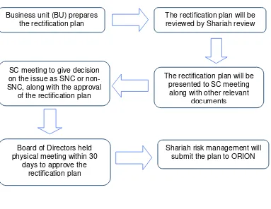 Figure 3: The Process of Rectification Plan 