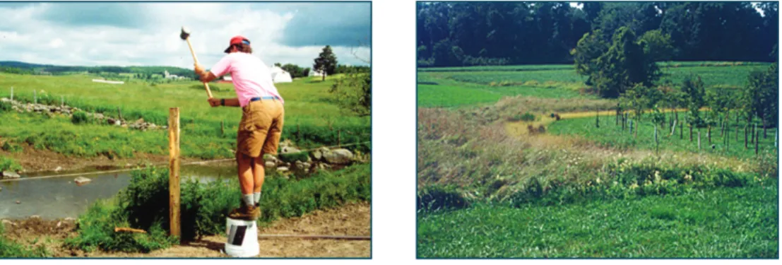 Figure 2.  Fencing immediately excludes livestock from a stream (left, VT NNPSMP project),  while a forested riparian buffer may take years to develop (right, PA NNPSMP project)
