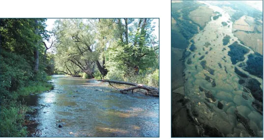 Figure 3.  Dissolved pollutants usually move downstream rapidly, while sediment and attached  pollutants can take years to be transported as particles are deposited, resuspended,  and redeposited.