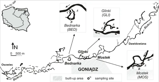 Fig. 1. Location of study sites in the middle basin of the Biebrza River.
