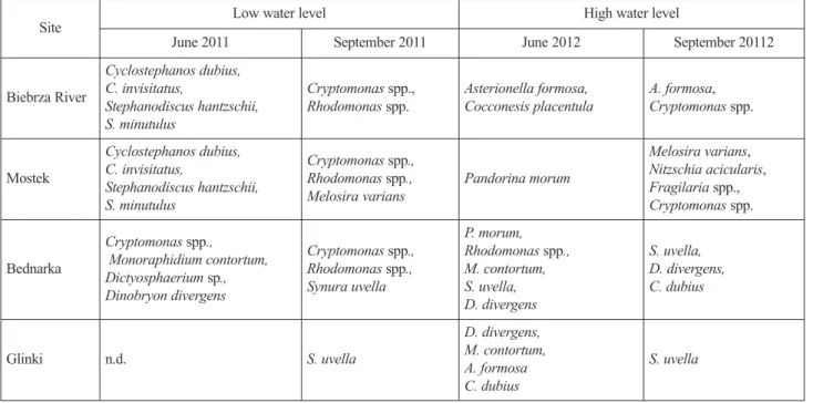 Fig. 5. A) Changes in total phytoplankton abundance (TPA) and  B) Shannon-Weaver Index (H’) in relation to hydrological connec- connec-tivity and water levels