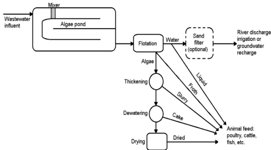 Figure 3. Flow Scheme of the Accelerated Photosynthetic Process for Waste-Water Treatment and Algal  Protein Production [56] 