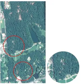 FigURe 3. WorldView 2 satellite image from 2011 with marked areas of significant damage to oak and a fragment from the Stratum 28.