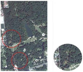 FigURe 5. Satellite image (Google Earth) from 2016 with marked areas of significant oak damage and Stratum 28 fragment.