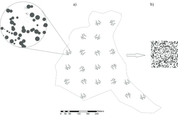 FiGUrE 1. The spatial pattern of field measurements (a) and the generated virtual stand (b).