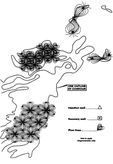 Figure 10 - Full Scale Wellfield Flow Patterns (Brunt, 1998)