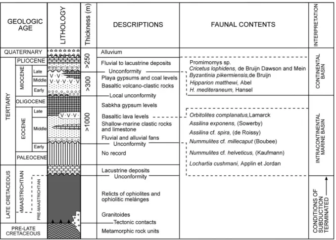 Fig. 5. Generalized columnar section of the Akc¸akıs¸la-Du¨zyayla subbasin (Rodent determinations after U ¨ nay et al., 2003; the other determinations from Yılmaz et al., 1995).