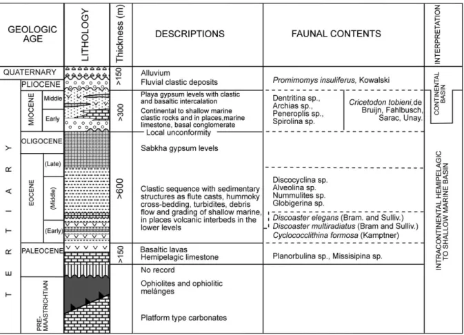 Fig. 6. Generalized columnar section of the S¸arkıs¸la-Celalli subbasin (Rodent determinations after Su¨mengen et al., 1990; the other determinations from Yılmaz et al., 1989).