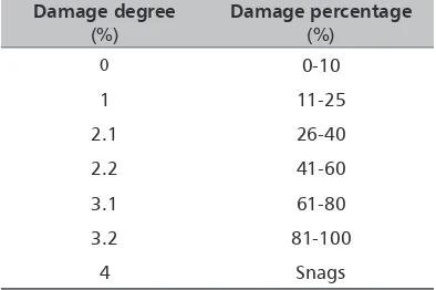 TABLE 1. Damage degree scale 