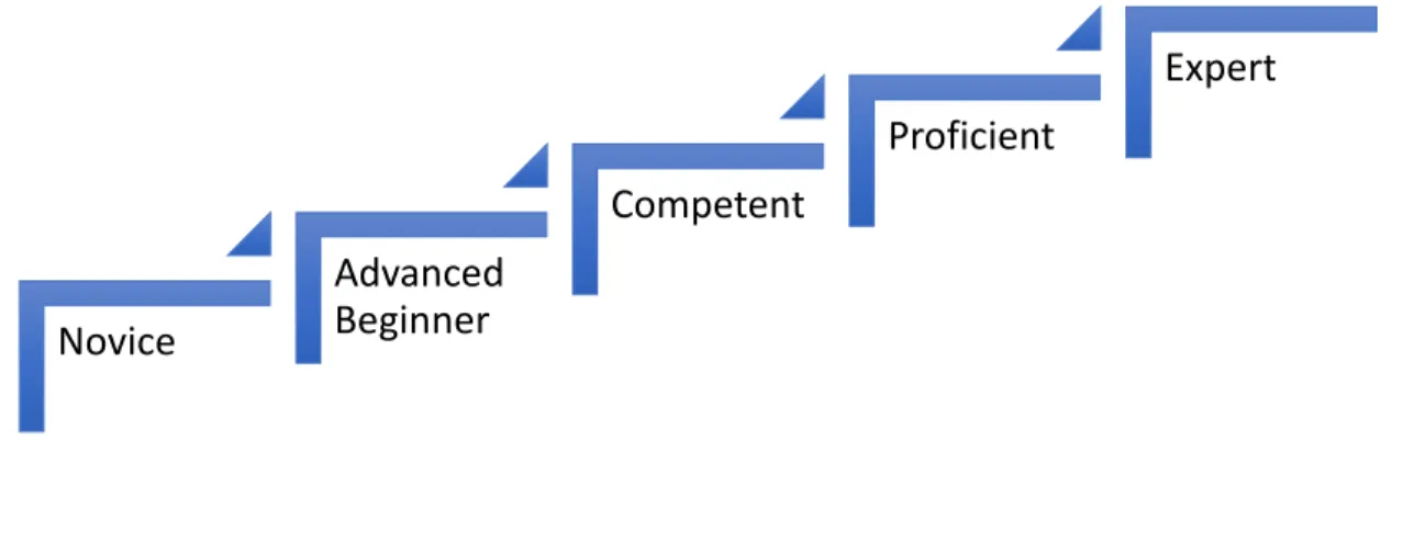 Figure 3. Benner’s Novice to Expert Theory 