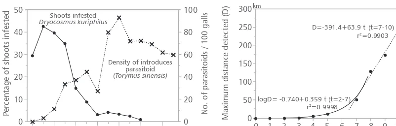 FIGURE 1. Decrease in infestation rate with sinensisDryocosmus kuriphilus after the release of Torymus  in Japan (source Moriya et al
