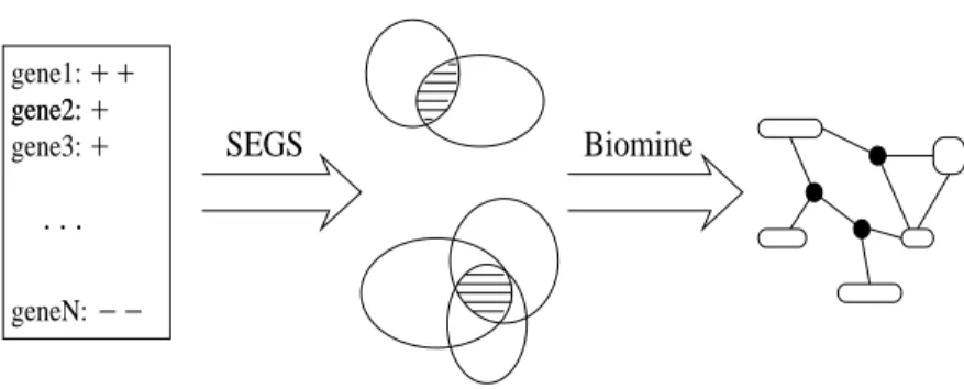 Fig. 2. Microarray gene analytics proceeds by first finding candidate enriched gene sets, expressed as intersections of GO, KEGG and NCBI gene-gene interaction sets
