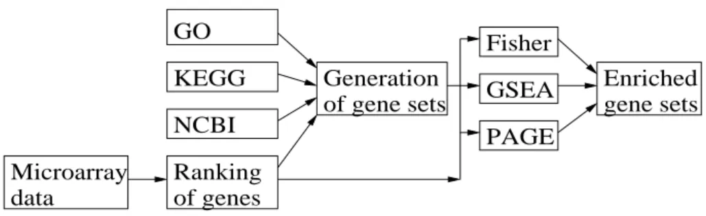 Fig. 3. Schematic representation of the SEGS method.