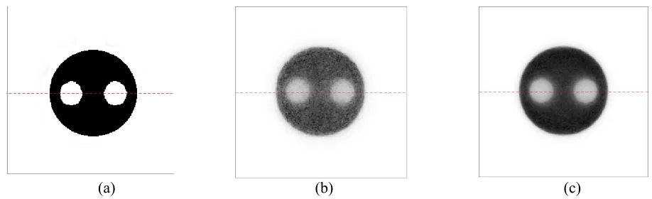 Fig. 18. MIPS of the transverse view of the 18F simulated phantom.  (a) Ideal phantom