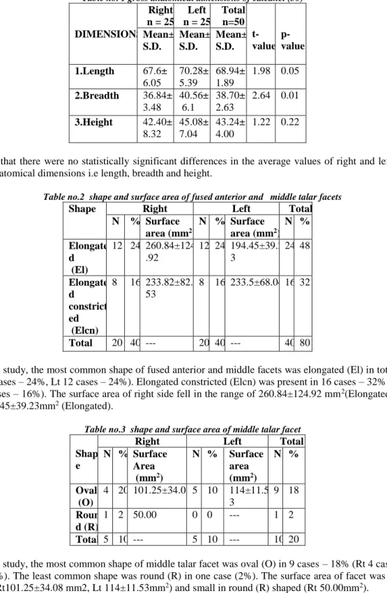 Table no.2  shape and surface area of fused anterior and   middle talar facets 