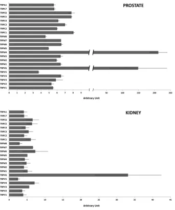 Fig. 1. Analysis of TRP ankyrin, canonical, melastatin and vanilloid families in the Gene Atlas U133A dataset by BioGPS in normal prostate and kidney tissues