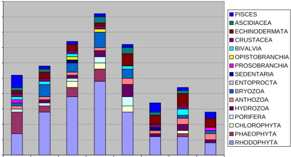 Figure 2  Number of species observed by diving in systematic groups. Stations are arranged by depth
