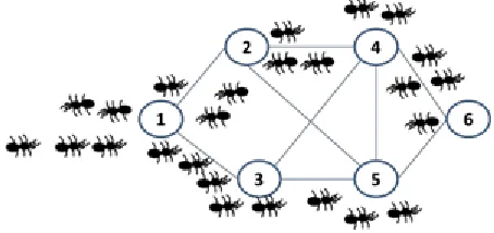 Figure 2. Ants path representation  