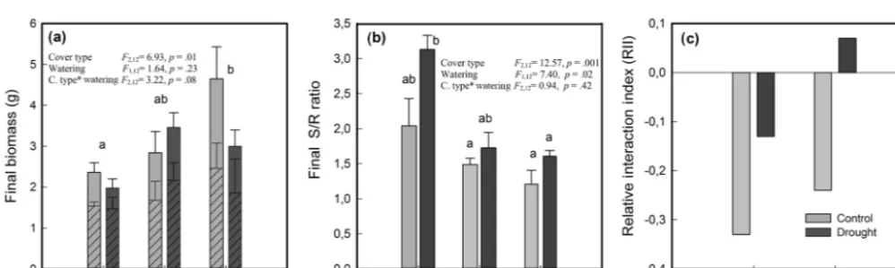 Figure 4. Predawn water potential (�pd) values for Nothofagus pumilio seedlings grown in different soil cover types and under conditions offull and restricted watering (control and drought, respectively)