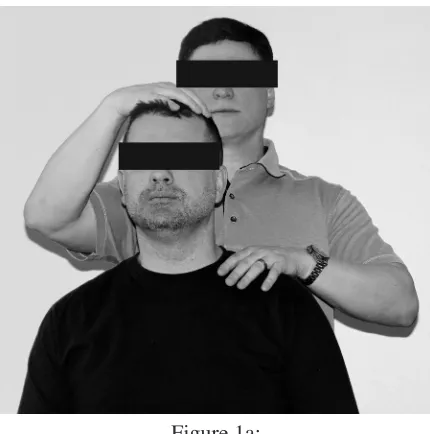 Figure 1a: Figure 1b: 