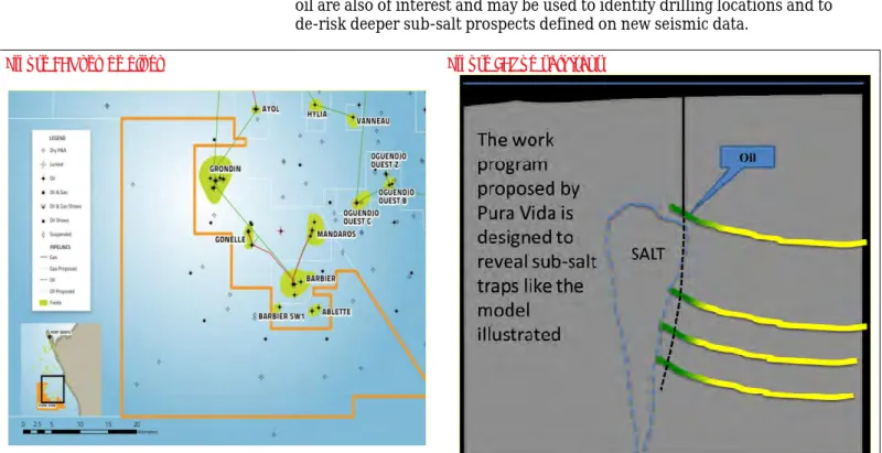 Figure 8: Nkembe block  Figure 9: Sub salt traps 