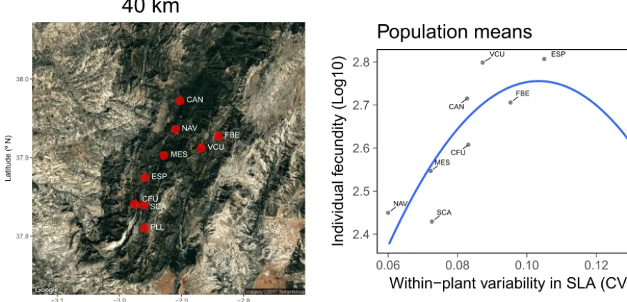 Figure 6. Geographical distribution ofSpain (left), and relationship across populations between mean individual fecundity (seeds produced per plant, log transformed) and meanwithin-individual variability (coefﬁcient of variation, CV) of speciﬁc leaf area (