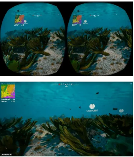 Figure 1. VR environment on high- (above: rendered on an Oculus Rift VR headset) and low-immersive (below: same scene rendered on a desktop computer screen) computer displays